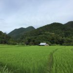 Magic Mushrooms in Pai: That One Time I Lost My Individual Identity And Became One With the Universe